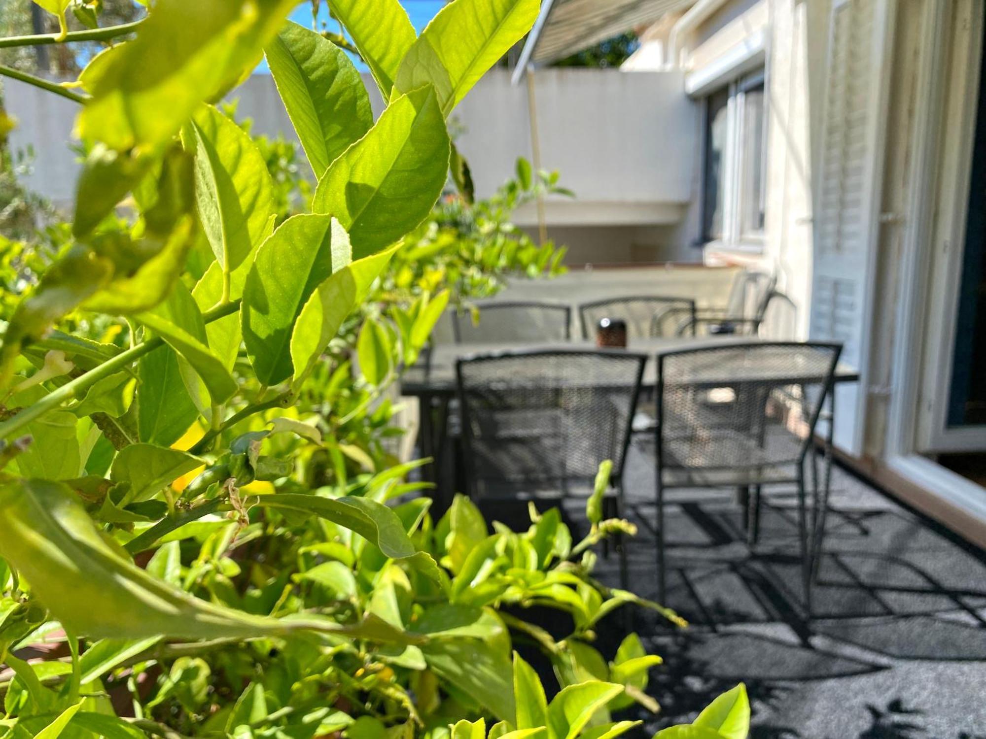 Apartments Cala บีโอกราดนาโมรู ภายนอก รูปภาพ